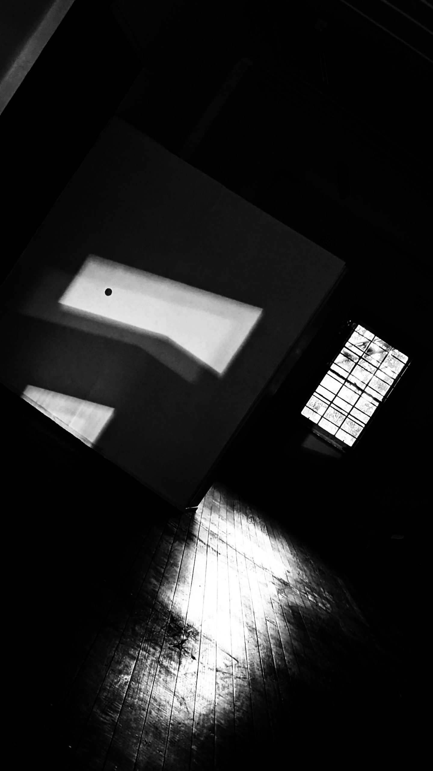 What is Call of the Void?